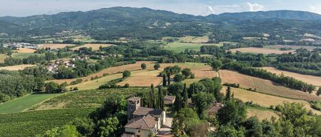A rural landscape with vineyards, a small village, and rolling hills in the background.