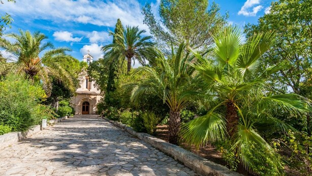 A stone pathway leading to a building surrounded by lush greenery and palm trees. - ES SERRAL - Villa with private pool in sa Pobla. Free WiFi (Sa Pobla)