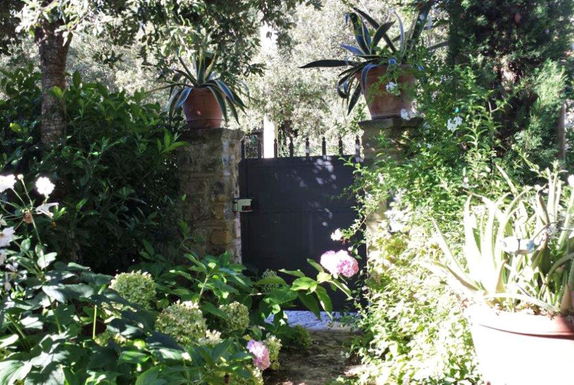 A garden with potted plants, a stone wall, and a gate.