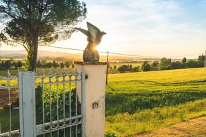 Property grounds - Private Villa with private pool, A/C, WIFI, TV, veranda, pets allowed, close to Montepulciano (Castiglione Del Lago)