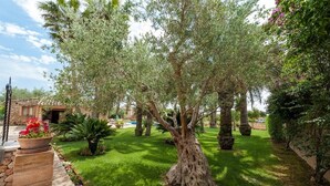 A well-maintained garden with a variety of trees and shrubs, a stone pathway, and a building in the background.
