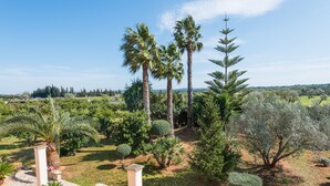 Ein angelegter Garten mit Palmen, Sträuchern und einem Kiesweg.