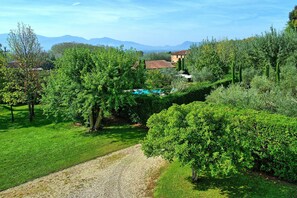Property grounds - Villa Fiamma - Villa with private pool (Segromigno In Monte)