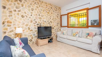 Televisión y chimenea