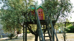 Een boomhut met een rode deur en een groen dak, gebouwd op een houten platform.