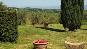 A rural landscape with a large tree, a rustic tractor, and a potted plant. - Lovely apartment with pool, WIFI, A/C, TV, pets allowed, panoramic view, close to Greve In Chianti (Mercatale)