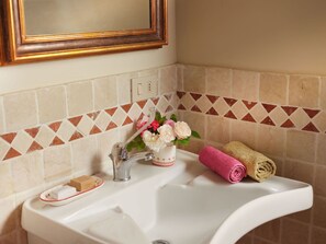 Shower, hair dryer, bidet