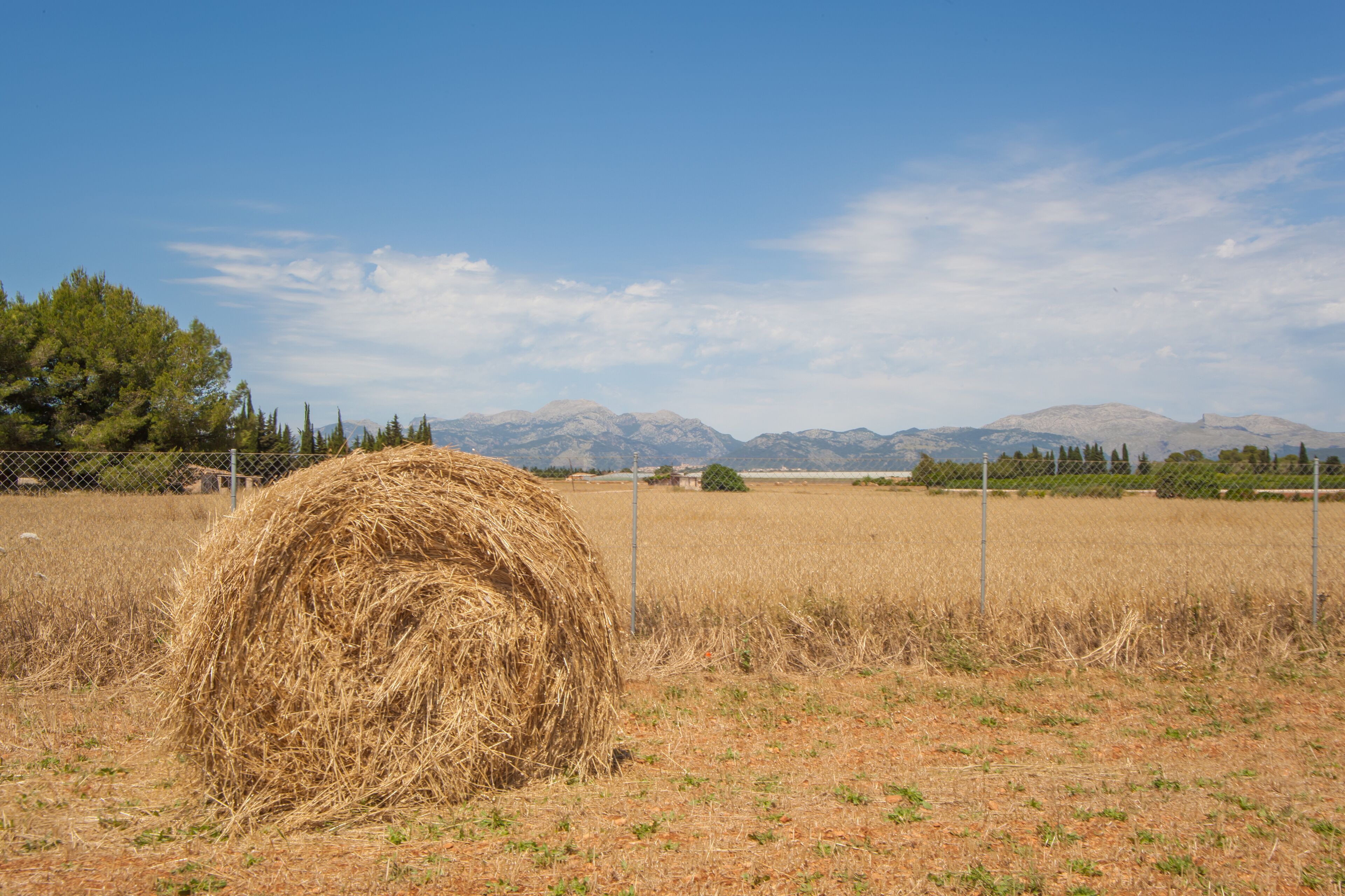 A rural landscape with a large hay bale in the foreground, a fenced field, and mountains in the background.