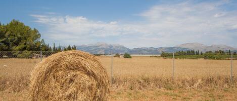 A rural landscape with a large hay bale in the foreground, a fenced field, and mountains in the background.