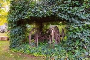 Discover a charming garden oasis with a vintage cart nestled among lush greenery.
