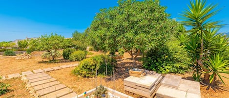 Jardines del alojamiento