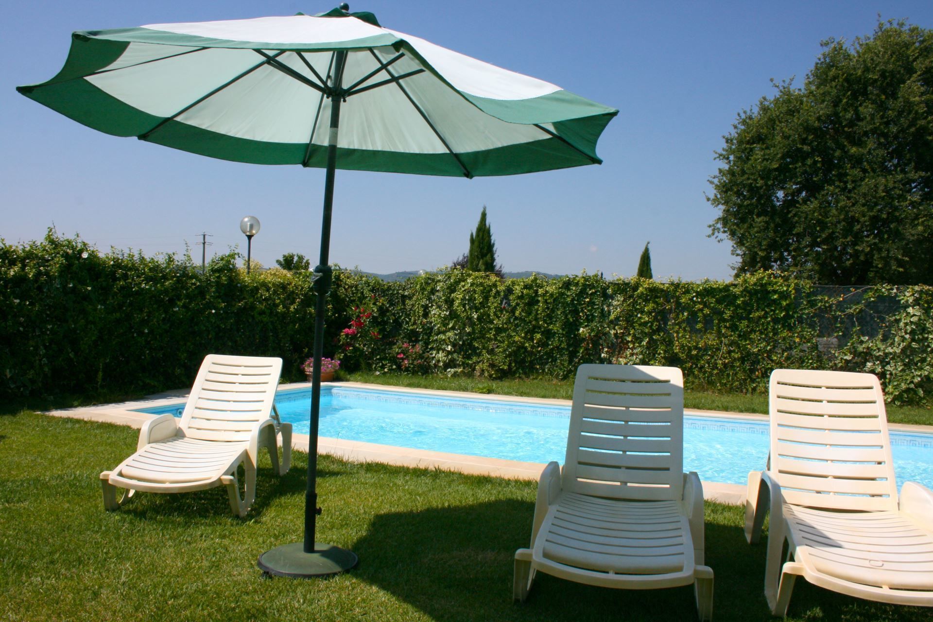 A poolside area with two lounge chairs and a large umbrella.