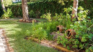 Jardines del alojamiento