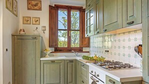 A kitchen with a stove, sink, and green cabinets. - Wonderful private villa for 8 guests with WIFI, private pool, A/C, TV and patio (Palaia)