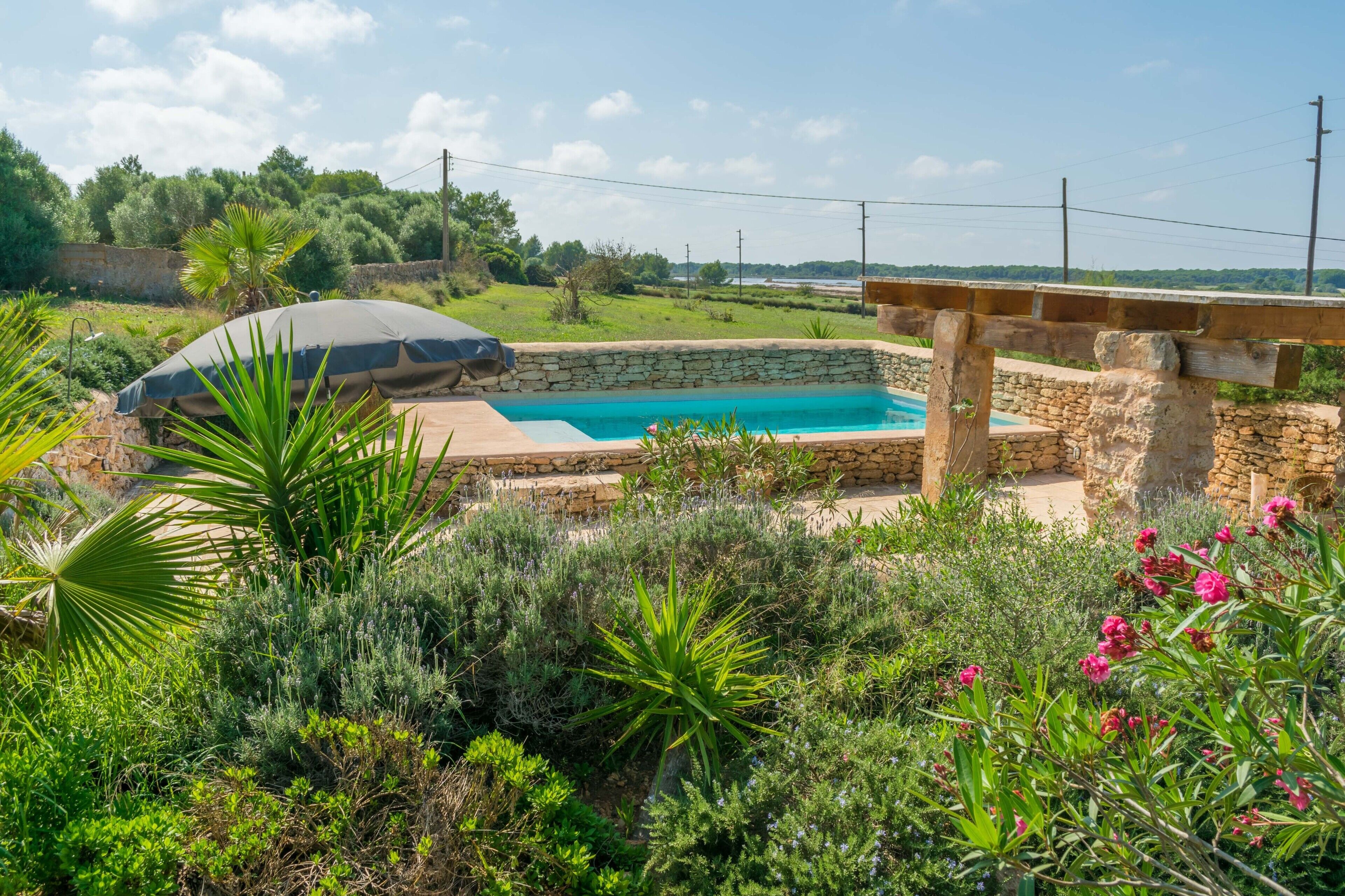 A swimming pool surrounded by lush greenery and stone walls.