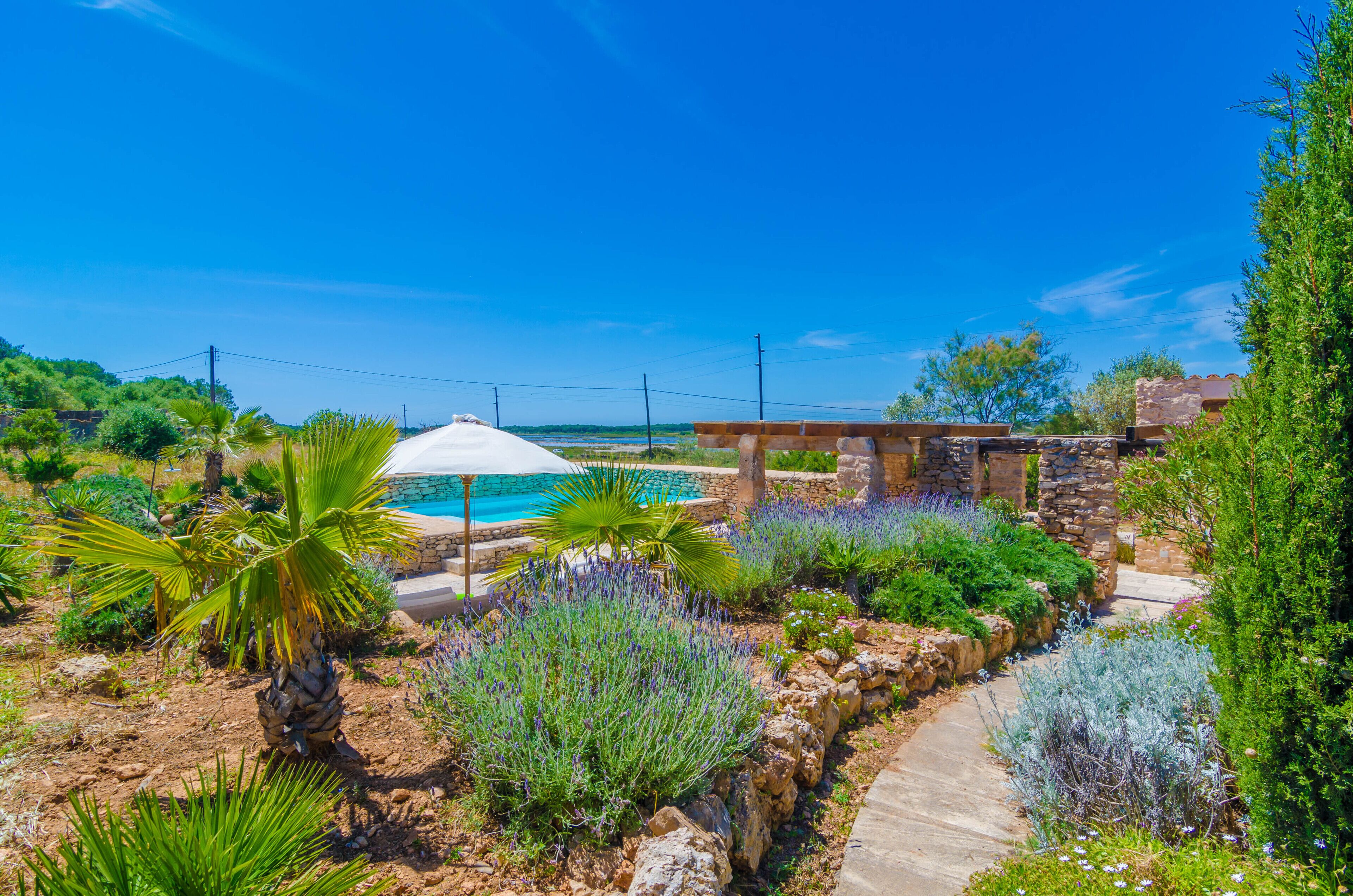 Zona de piscina con una pérgola, rodeada de plantas variadas y un sendero de piedra.