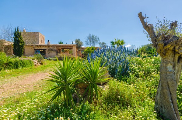 Un edificio de piedra rústico con un jardín delantero.