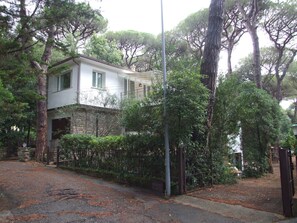 A two-story house with a stone facade, surrounded by dense trees and a metal fence.