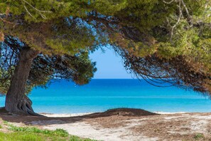 Uma praia com árvores e vista ampla para o oceano.