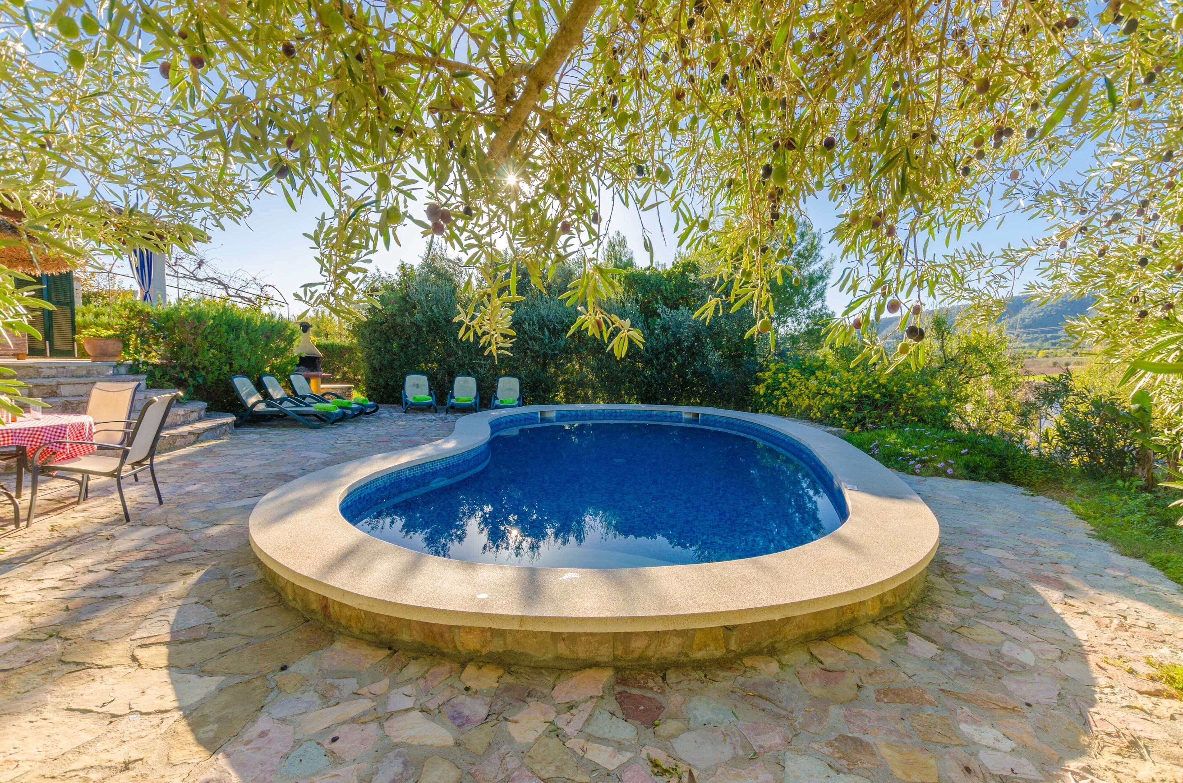 A swimming pool with a stone deck, surrounded by greenery and a view of the countryside.