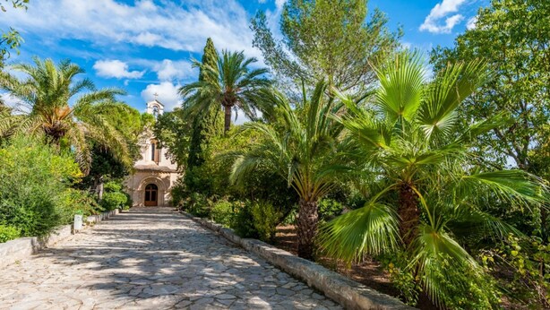 A cobblestone pathway leading to a building with a bell tower, surrounded by lush greenery and palm trees. - SA MATA - Spectacular Majorcan finca with private pool enclosed by the trees and greenery (Campanet)