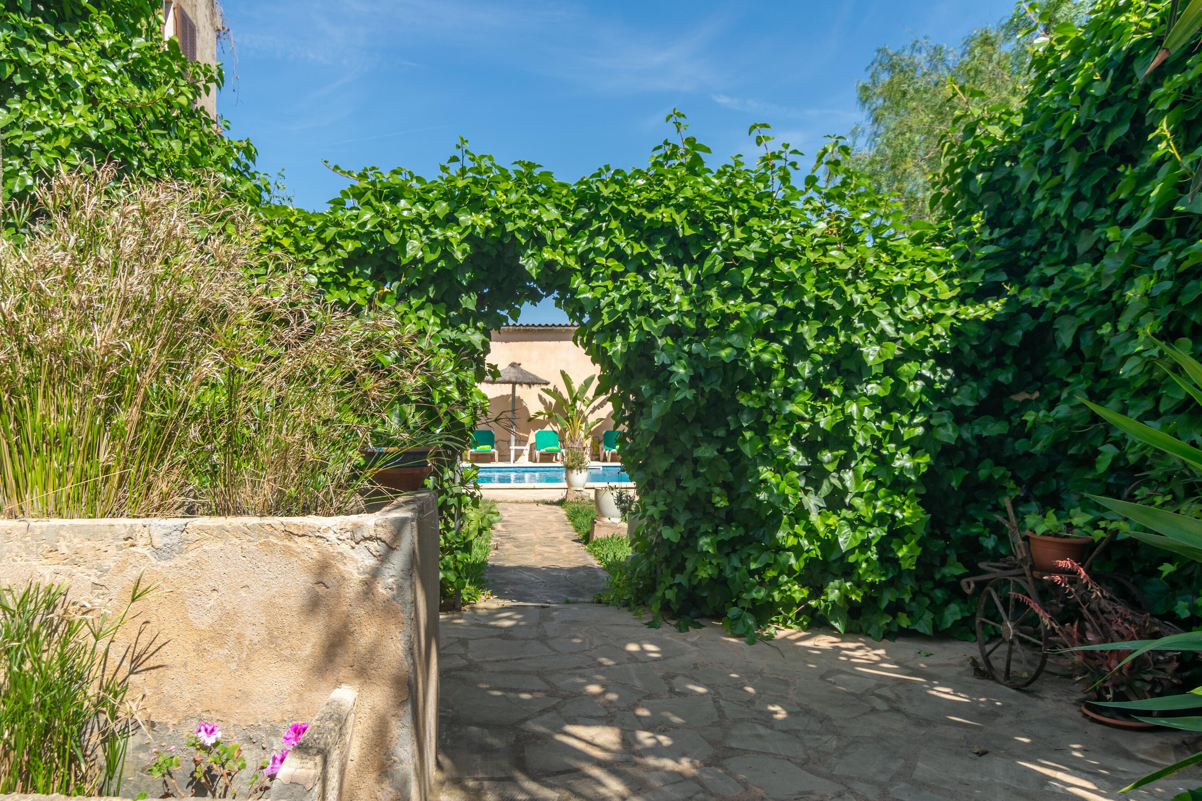 Jardines del alojamiento
