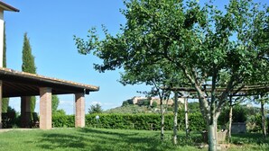 Un espace extérieur abrité, doté d’une structure en briques, d’une pelouse et d’un arbre.