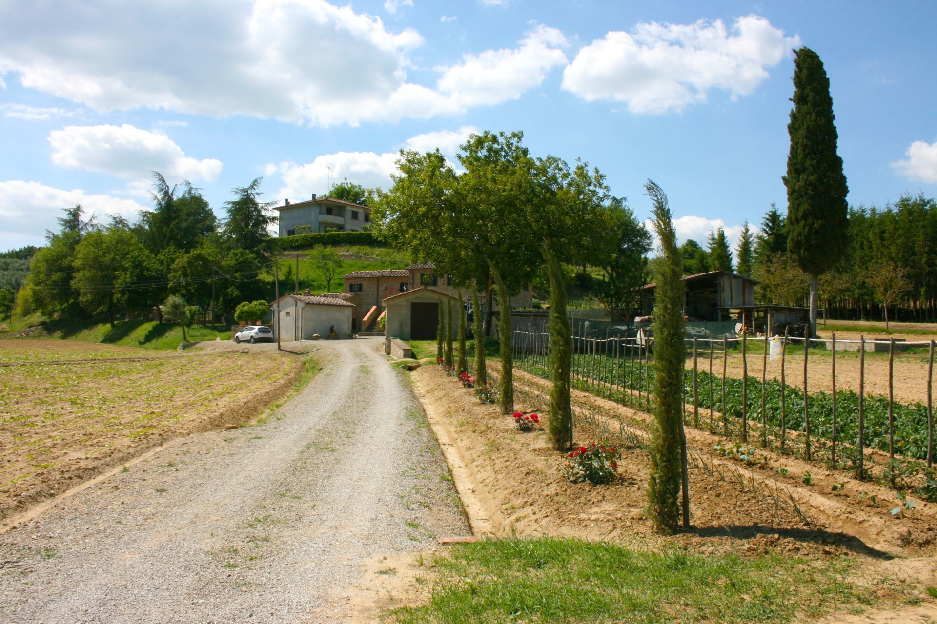 Parco della struttura