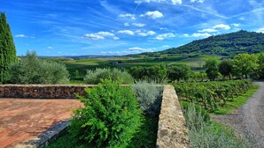 Unclassified image, 3 of 24, button - Nice apartment for 3 guests with A/C, pool, TV, pets allowed and panoramic view (Montalcino)