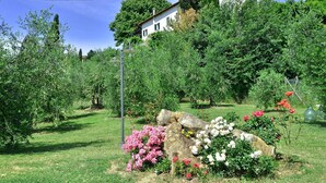 A garden with various plants and flowers, a stone structure, and a building in the background. - Wonderful private villa for 8 people with private pool, A/C, WIFI, TV, terrace and panoramic view (Corazzano)