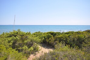 Playa