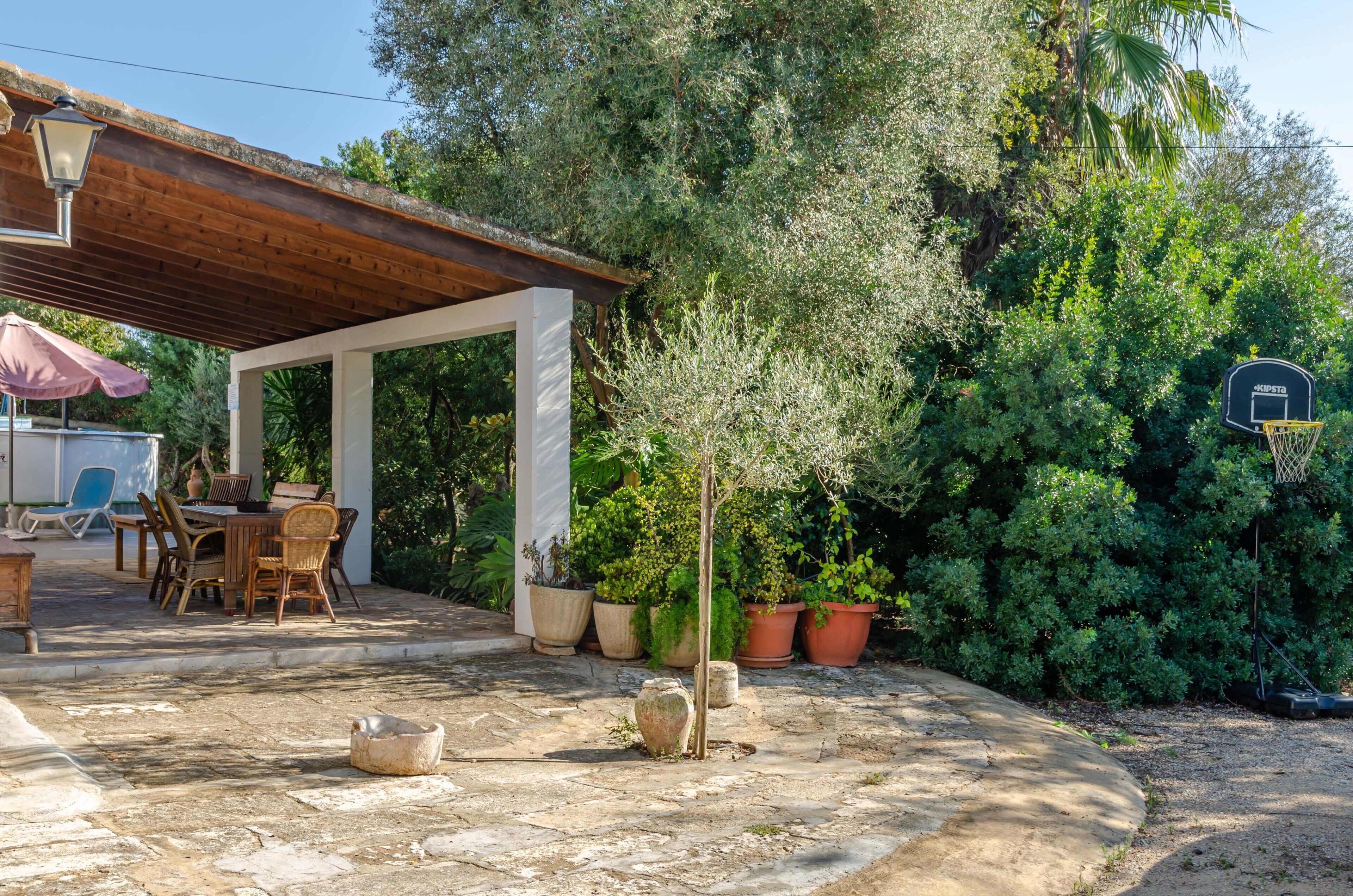 Un patio techado con una mesa y sillas, rodeado de plantas en macetas y un aro de baloncesto.