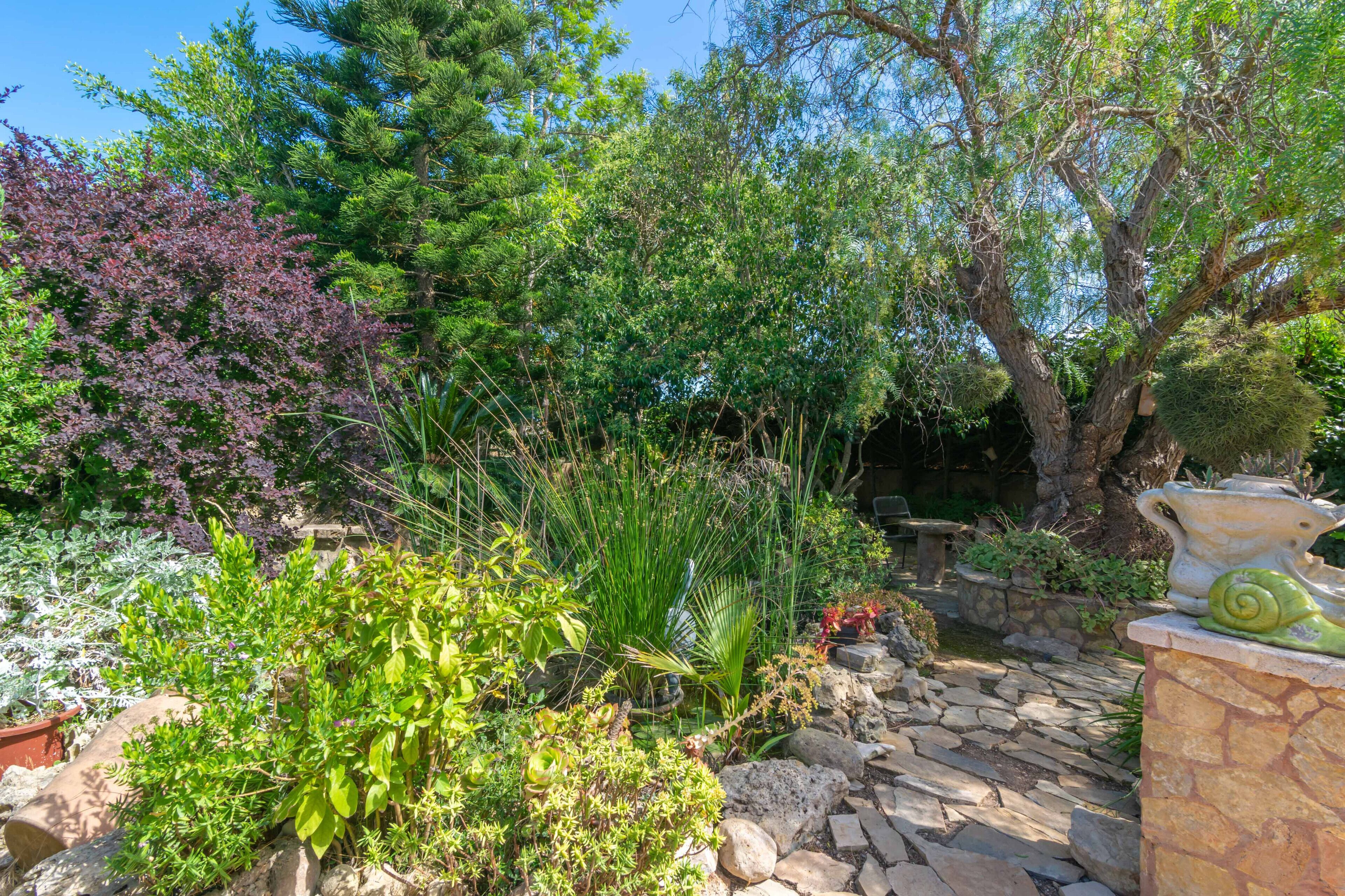 Un jardin avec différentes espèces de plantes et un sentier en pierre.