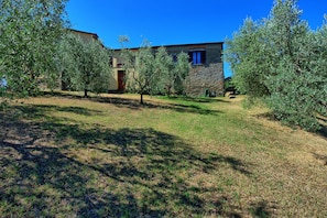 A stone building with a small garden and olive trees.