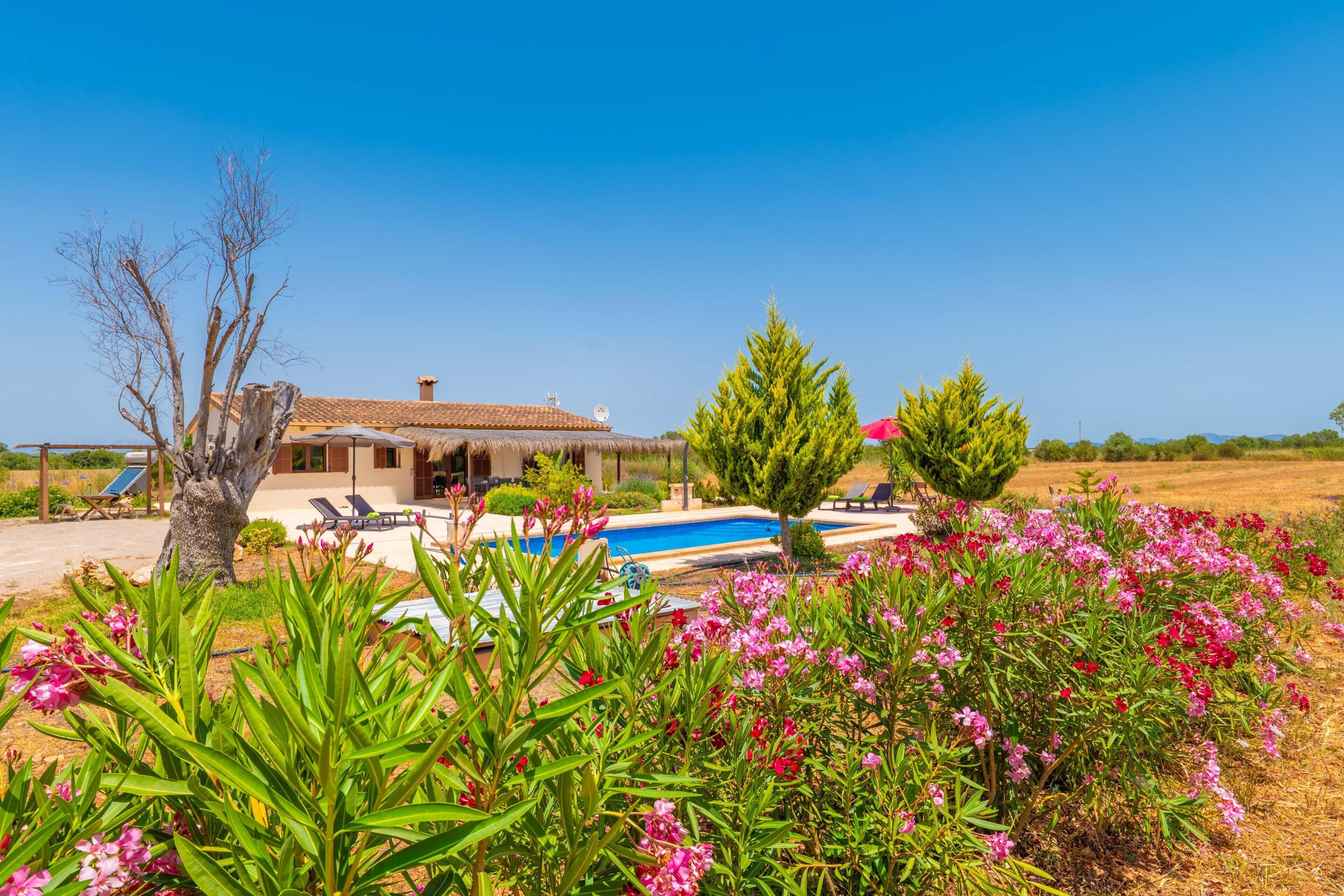 A villa with a swimming pool, surrounded by lush greenery and flowering plants.