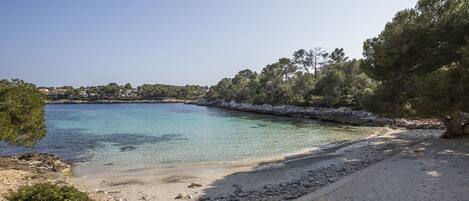 Playa