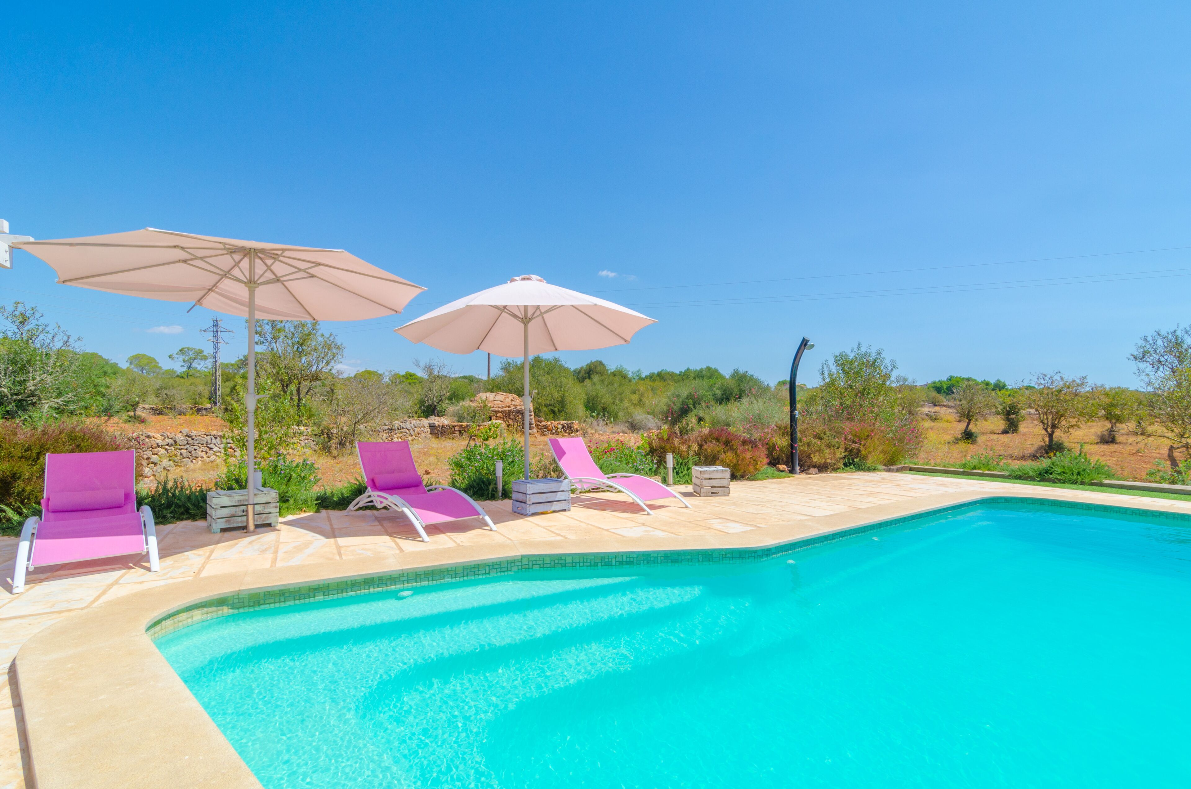 A swimming pool with lounge chairs and umbrellas, surrounded by greenery and a clear sky.