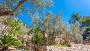A stone wall, a metal fence, and various trees.