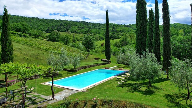 A swimming pool surrounded by a lush garden with tall trees and a vineyard in the background. - Villa Lo Scoiattolo - Holiday Country Villa with private swimming pool in Casentino Valley, Tuscany (Subbiano)
