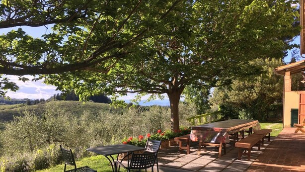 An outdoor patio with a table and chairs, surrounded by lush greenery and a large tree. - Tenuta Cambiano - Villa with private swimming pool (Colombaie)