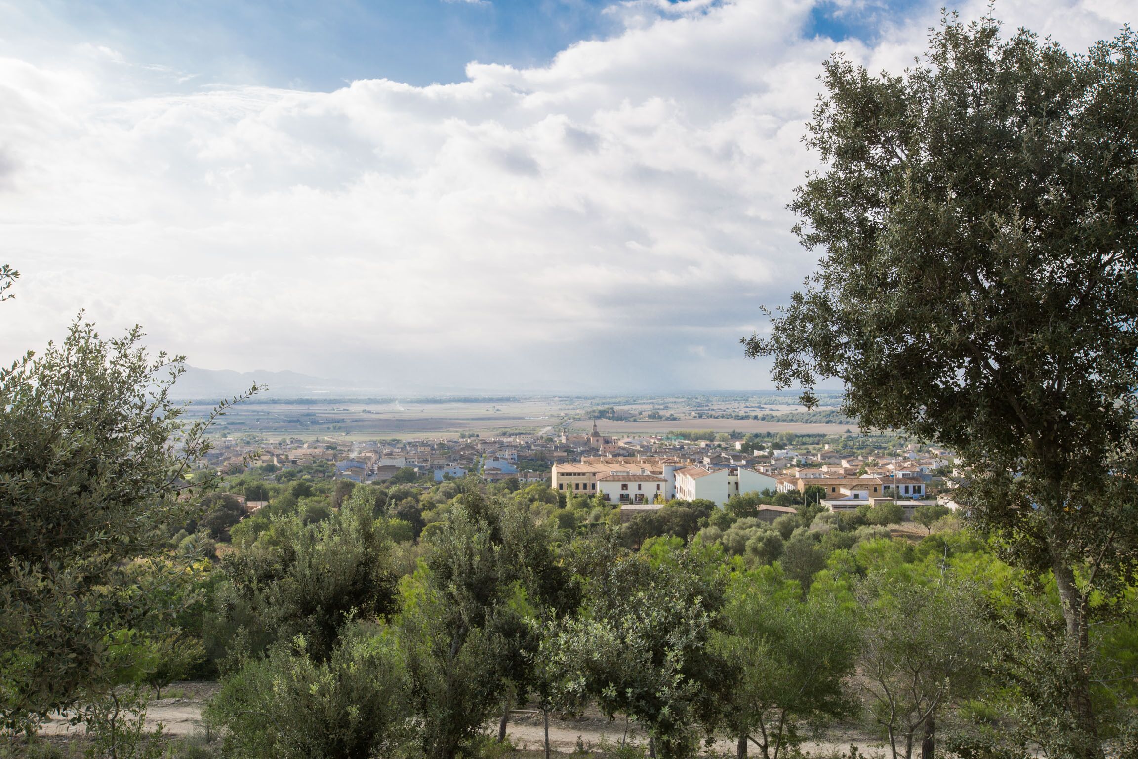 A town with buildings surrounded by trees and a clear sky.