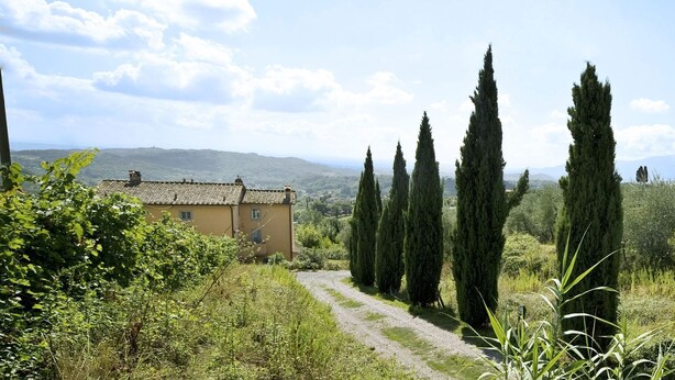 Paesaggio rurale con una casa, alti cipressi e un sentiero sterrato.