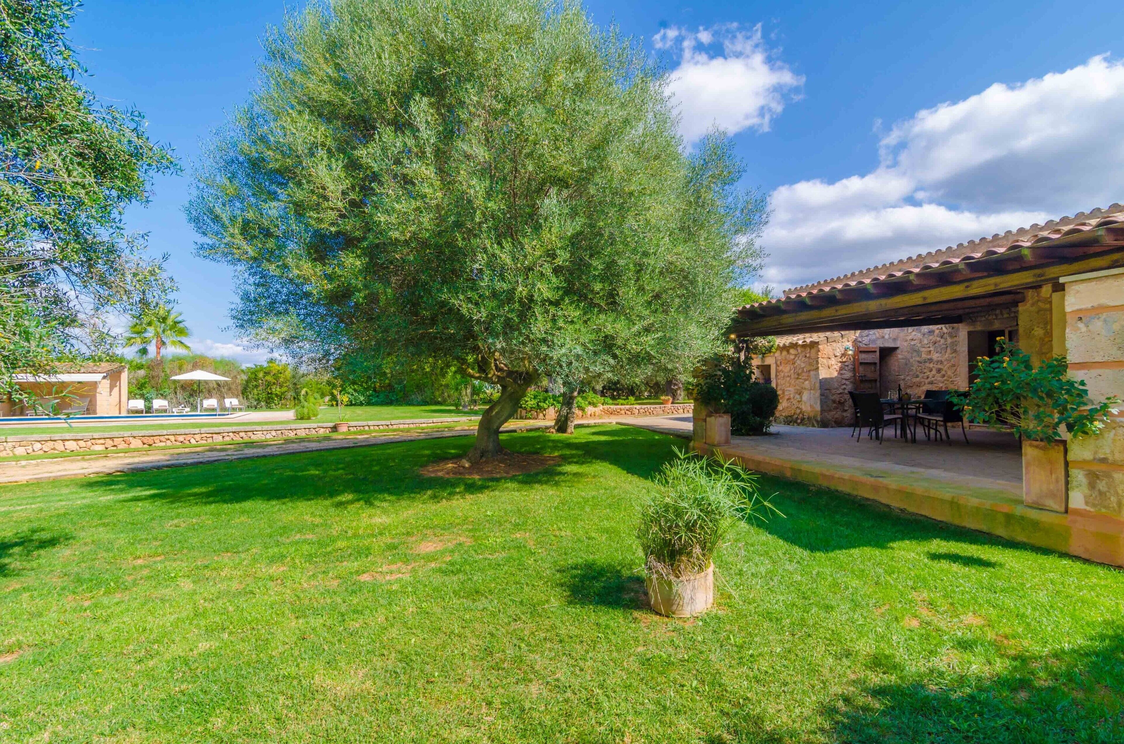 Un patio con un árbol grande, un edificio de piedra con mesas al aire libre y un césped bien cuidado.