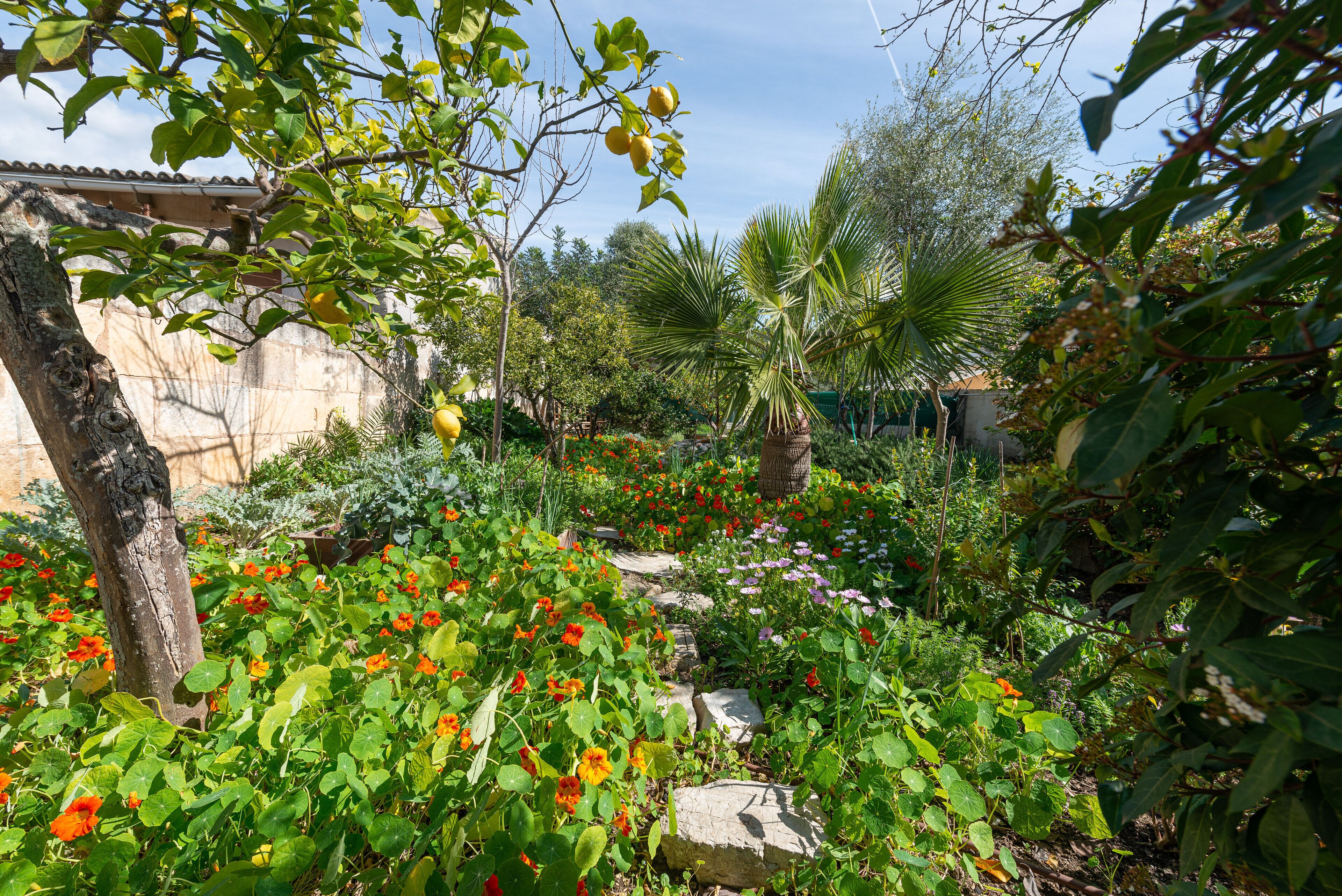 Terrein van de accommodatie