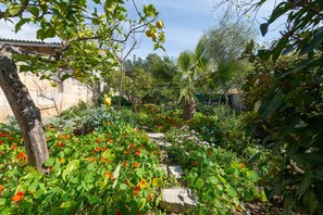 Un jardin où l’on trouve une variété de plantes, un sentier en pierre et un palmier.