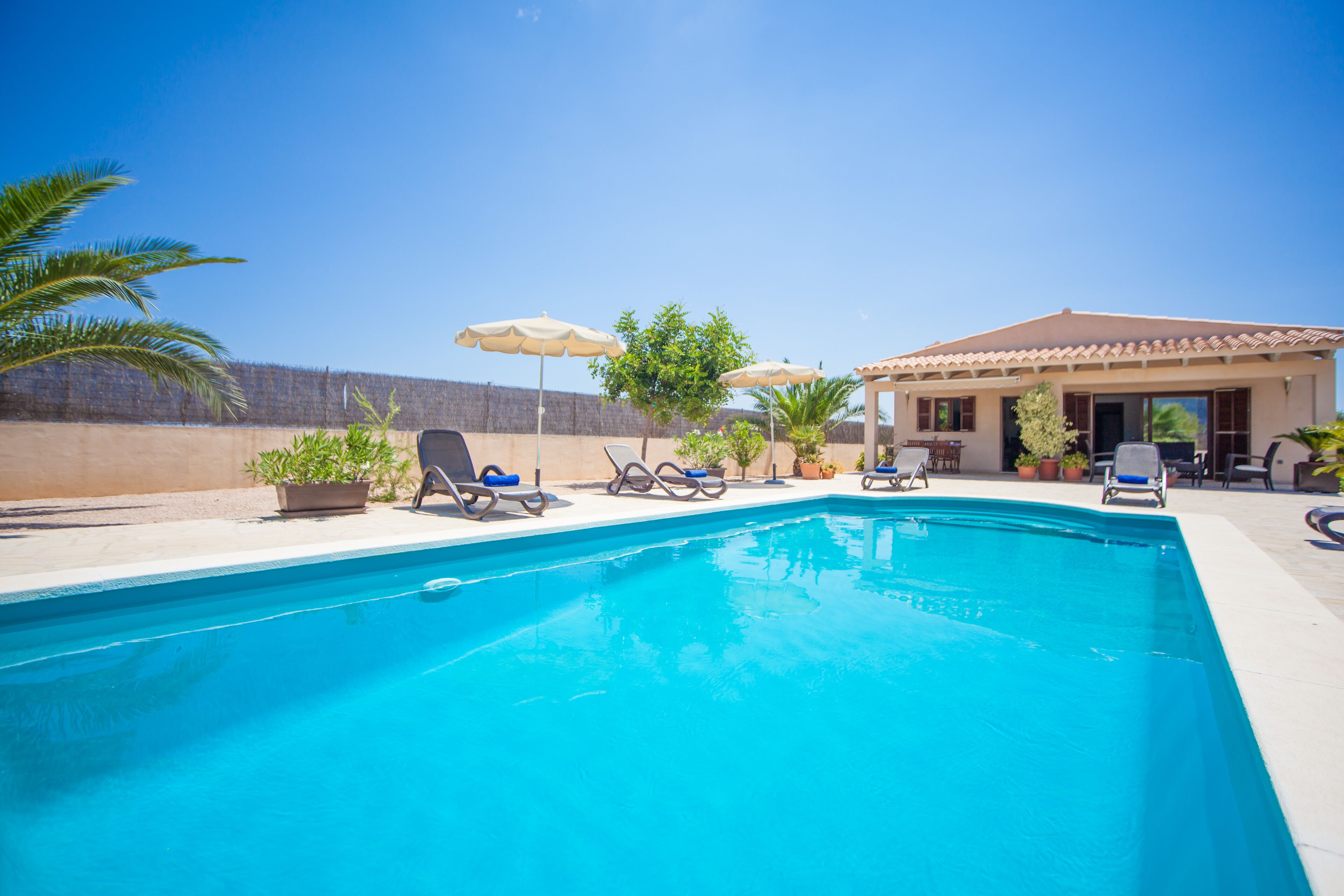 A swimming pool with lounge chairs and umbrellas, surrounded by potted plants and a building with a tiled roof.