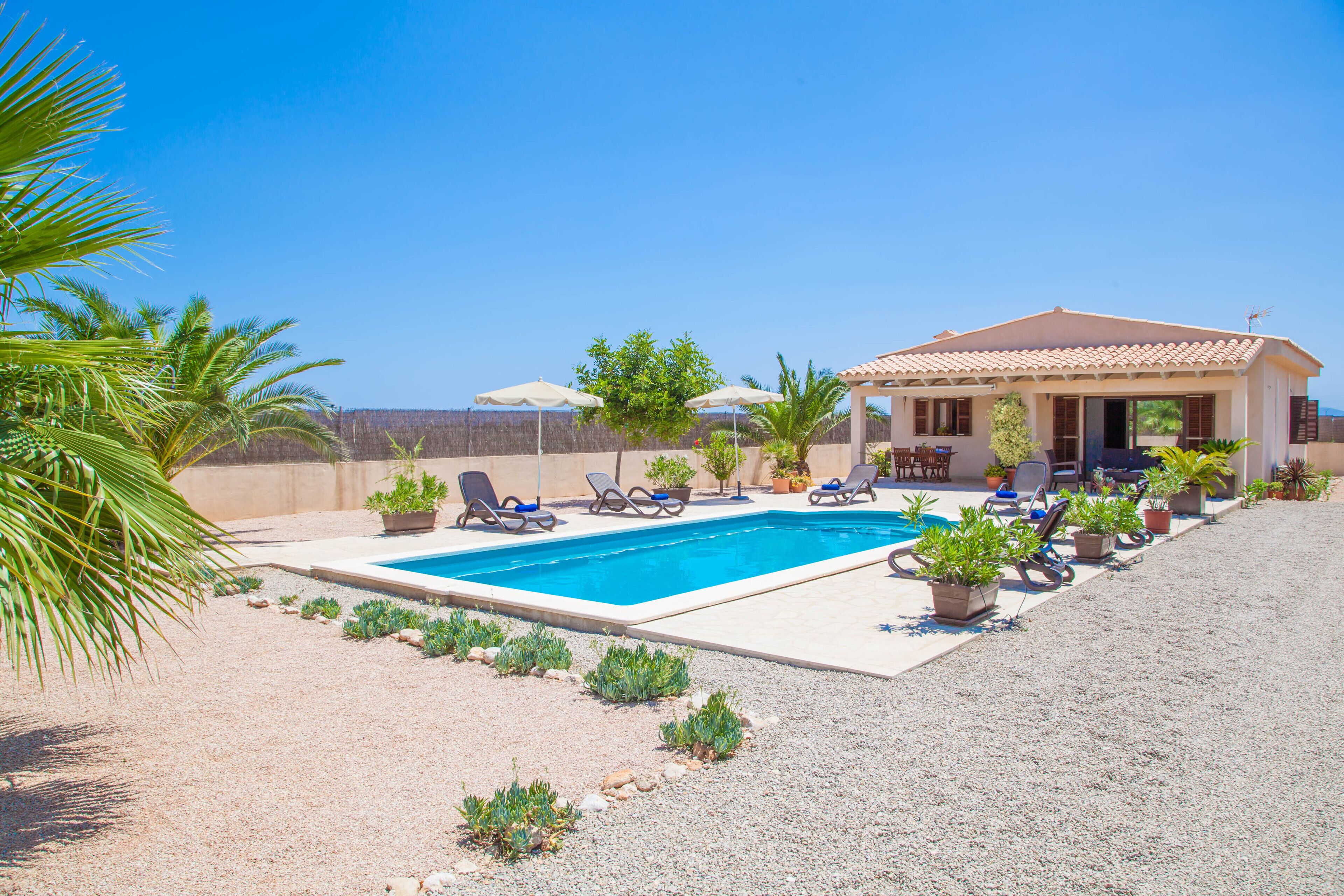 A pool area with lounge chairs and umbrellas, surrounded by potted plants and a building with a tiled roof.