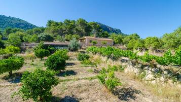 Terrein van de accommodatie