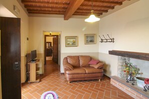 TV, fireplace, DVD player
