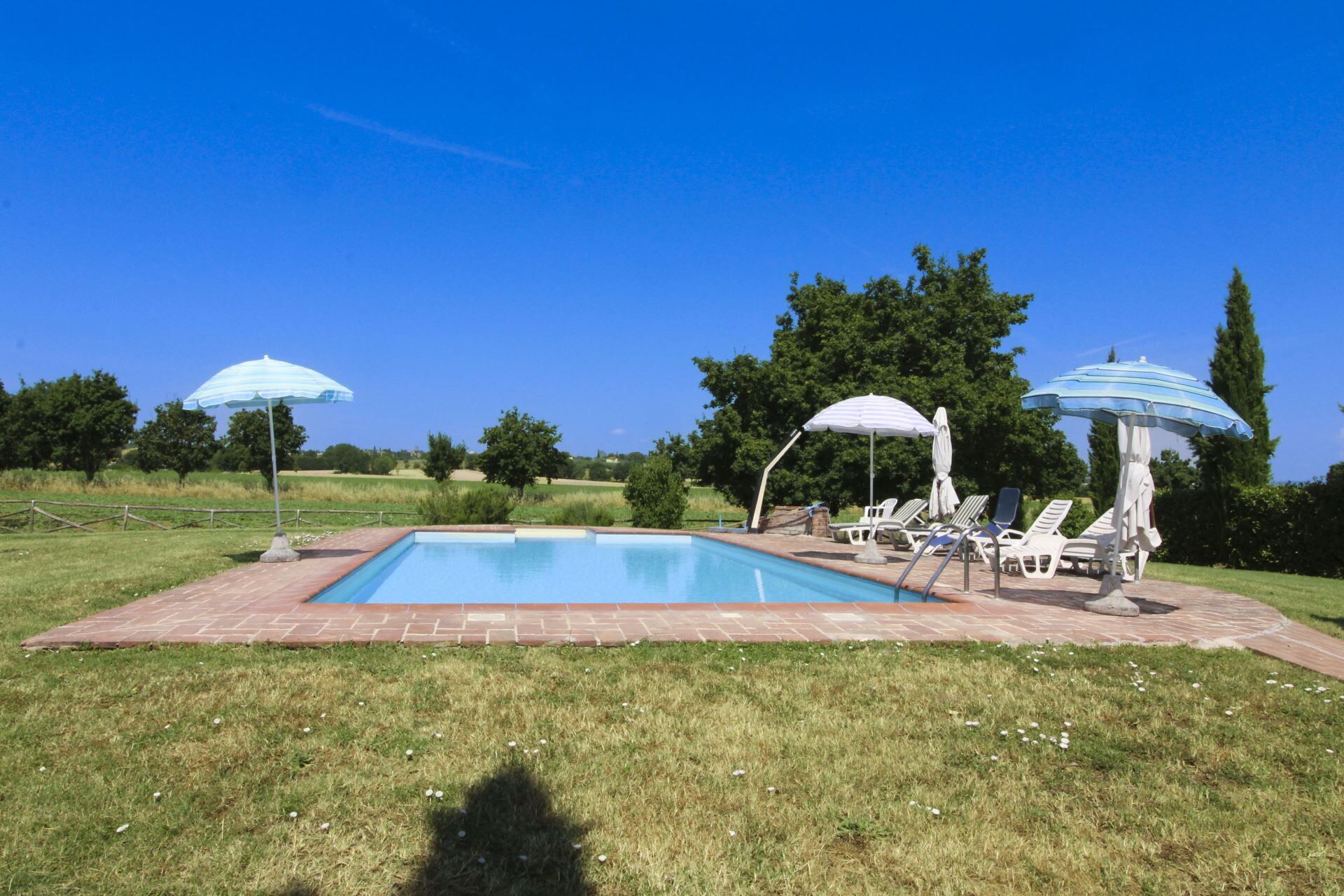 Une piscine rectangulaire bordée de briques, entourée de pelouse et d’arbres. On y trouve des chaises longues et des parasols disposés autour de la piscine.